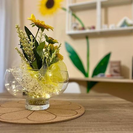 Appartamento Il Girasole 卡尔奇纳亚 外观 照片